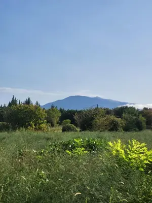 a field of grass with mountains in the background at Maison BRIALI avec Jacuzzi espace détente in Aubignan