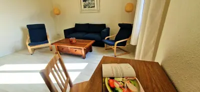 a living room with a couch and chairs and a table at Appartement avec extérieur in LʼIsle-sur-la-Sorgue