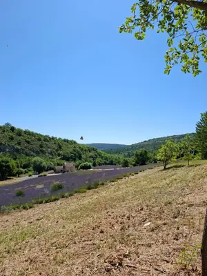 a view of the river from a hillside at Cabanon provençal en pierre entouré de lavandes in Vachères
