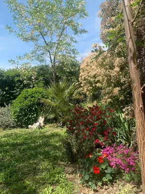 a garden with flowers and a cat in the background at Maison entière avec jardin à 5 mn centre ville Aix en Provence in Aix-en-Provence
