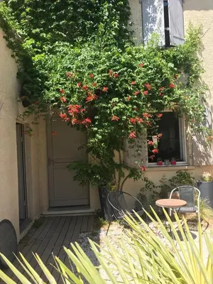 a tree with red flowers on the side of a building at Maison entière avec jardin à 5 mn centre ville Aix en Provence in Aix-en-Provence