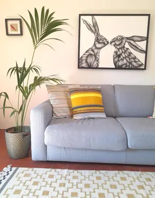 a living room with a couch and a plant at La Cachette centre historique village in Roussillon