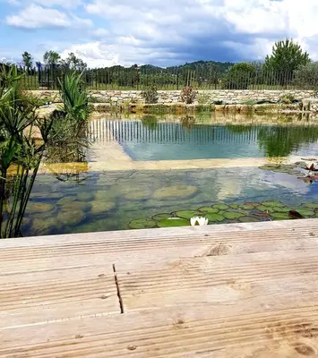 a pool of water with a wooden deck in front of it at Le colibri du Luberon in Apt