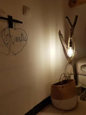 a room with a light on a wall with a tree in a basket at Le colibri du Luberon in Apt
