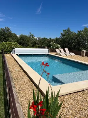 a swimming pool with lounge chairs and a red flower at Maison Luberon piscine in Viens
