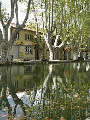 a house with trees and a reflection in a body of water at Appartement Gîte d'Etape Vitrolles en Luberon in Vitrolles-en-Luberon