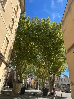 a woman walking down a street in front of trees at CARPENTRAS 2ème étage BEL APPARTEMENT au CENTRE VILLE in Carpentras