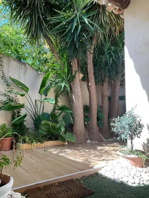 a garden with trees and plants next to a wall at Tiny House - Les Baïsses - Jardin Tropical in Lançon-Provence