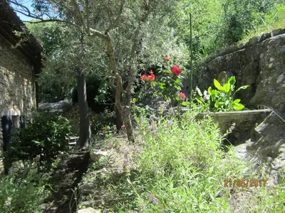 a garden with flowers and trees and a stone wall at Il était une fois à Lagnes in Lagnes