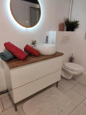 a bathroom with a sink and a toilet and a mirror at L appartement Lambescain in Lambesc
