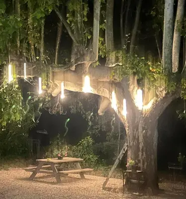 a picnic table in front of a tree with lights at Très joli studio prôche Lourmarin in La Celle-sous-Gouzon