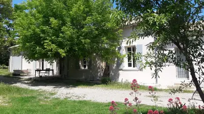 a white house with a tree in front of it at Fully renovated Provençal farmhouse in Châteauneuf-de-Gadagne