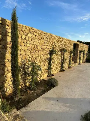 a stone wall with plants growing on it at Historic Mansion In Provence Vineyards in La Tour-dʼAigues