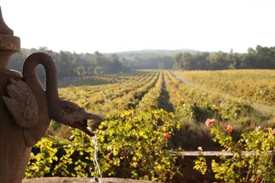 a bird drinking water from a fountain in front of a vineyard at Villa des Platanes - Maison provençale avec jardin, parking & barbecue au cœur du vignoble du Château de Barbebelle Rognes - Proche Aix-en-Provence - 6 personnes in Rognes
