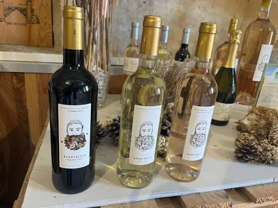 a bunch of wine bottles sitting on a shelf at Studio Ouest - Chambre avec vue vignoble - Domaine viticole Château Barbebelle Rognes - Proche d'Aix-en-Provence in Rognes