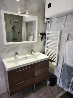 a bathroom with a sink and a mirror at Tiny House T1 in Entraigues-sur-la-Sorgue