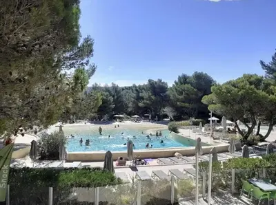 a group of people in a swimming pool at Appartement cosy en Provence in Mallemort