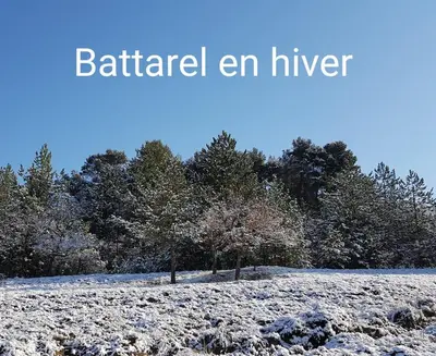 two trees in a snow covered field with the words battlefield en river at Domaine de Battarel, 4 hectares en Luberon in Saint-Martin-de-Castillon