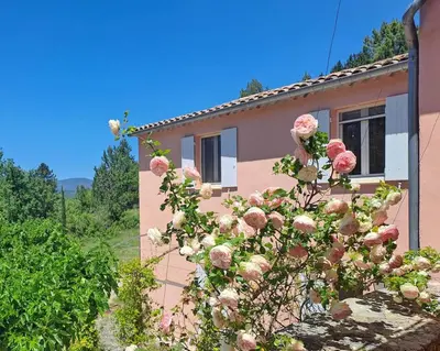 a house with a bush with pink roses in front of it at Domaine de Battarel, 4 hectares en Luberon in Saint-Martin-de-Castillon