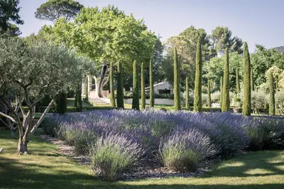 a garden with purple flowers and trees at Domaine de Fontenille - Fontenille Collection in Lauris