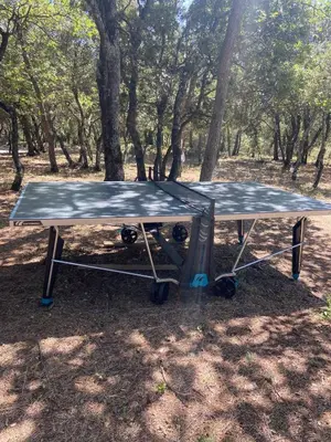 a ping pong table in a park with trees at Le bois des chênes in Peypin-dʼAigues