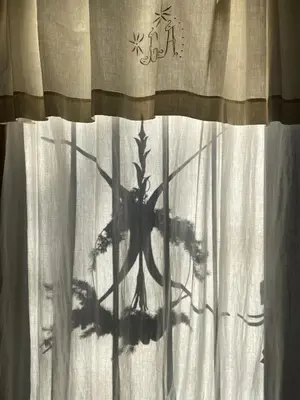 a shadow of a plant on a curtain at Maison Loucacia in Mormoiron