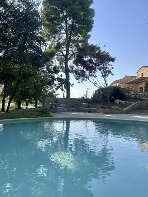 a large pool of blue water with trees in the background at Magnifique Mas provencal au coeur des vignes in Mazan