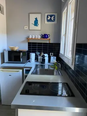 a kitchen with a sink and a microwave at Studio indépendant dans propriété campagne Aixoise terrasse et piscine période estivale in Aix-en-Provence