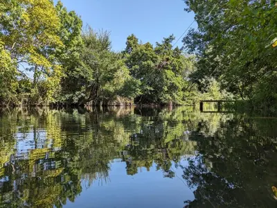 a river with trees reflecting in the water at La Bergerie des Sorgues in LʼIsle-sur-la-Sorgue