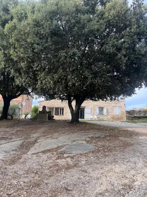 a large tree in front of a building at Studio cosy à la campagne in Montjustin