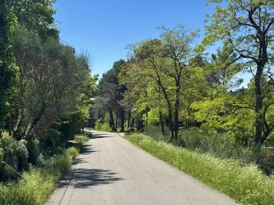 a dirt road with trees on either side at Charmant mas perché en Provence in Saumane-de-Vaucluse