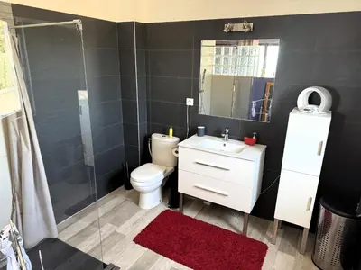 a bathroom with a toilet and a shower and a sink at Le mas Donalia in Saint-Saturnin-les-Apt