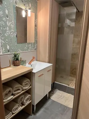 a bathroom with a sink and a shower at L'Odelisle Appartement plein centre avec terrasse in LʼIsle-sur-la-Sorgue