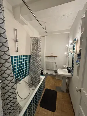 a bedroom with a bed and a mirror and a rug at Cozy apartment Aix-en-Provence city center in Aix-en-Provence