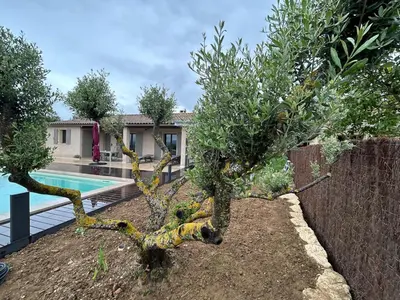 a tree in a yard next to a swimming pool at La Maison De Paulette in Joucas