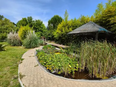 a garden with a pond with flowers and a gazebo at Instant parfait en Provence Villa 4 personnes parc piscine privatifs in Monteux