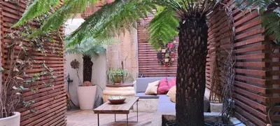 a patio with a couch and a palm tree at Havre de paix au coeur historique in Aix-en-Provence
