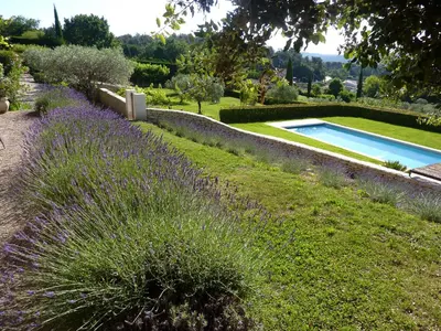 a garden with a swimming pool and purple flowers at mas des oliviers in Gordes