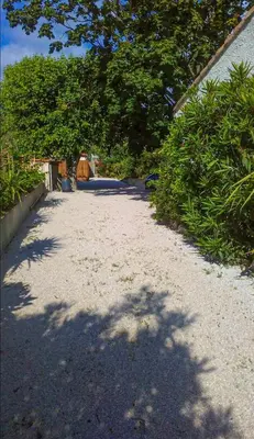 a tree is casting a shadow on a sidewalk at Studio Velaux in Velaux