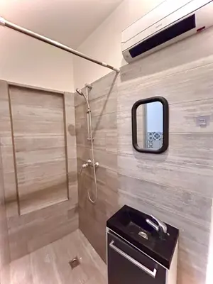 a bathroom with a shower and a sink and a mirror at appartement,au luberon in Cavaillon