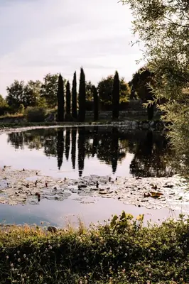 a large pond with trees in the middle of it at Domaine de la barbeirasse in Céreste