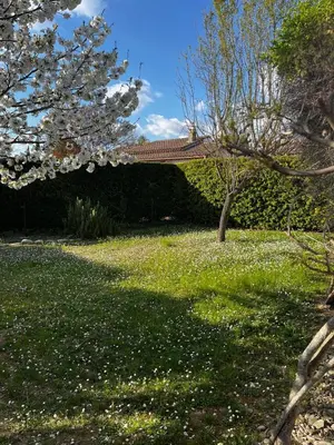 a garden with a tree with white flowers on the grass at Charming house, Lubéron, near golf and wineries in Pierrevert