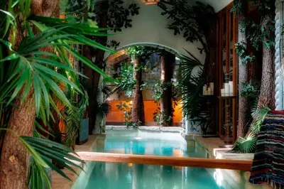 a swimming pool in a house with plants at Signature Home Pool & Panoramic Terrace in Goult