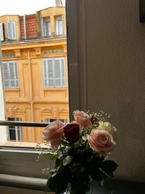 a vase of roses sitting in front of a window at T2 spacieux en hyper centre pour 1 à 5 personnes in Aix-en-Provence