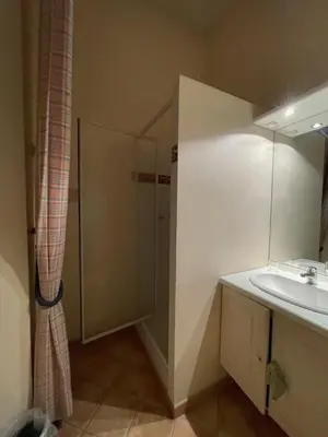 a bathroom with a sink and a shower at Pierre Jacques' House in Caromb