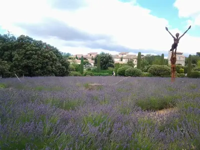 a field of lavender with a building in the background at Mas De Hameau in Oppède