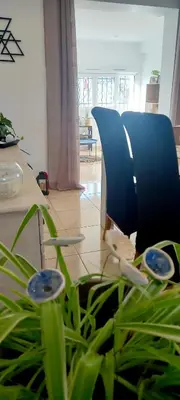 a table and a blue chair and a plant at Le Colibri Très belle maison près d'Avignon in Carpentras