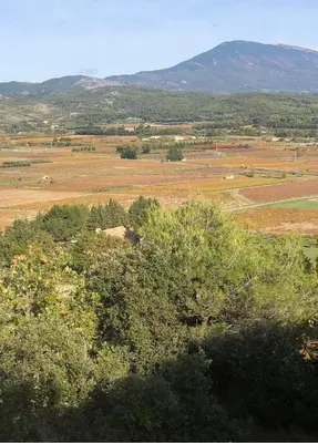 an open field with an elephant in the distance at Mas des Côtes in Saint-Hippolyte-le-Graveyron