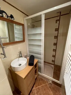 a bathroom with a sink and a shower at Apartment in L'Isle-sur-la-Sorgue with parking in LʼIsle-sur-la-Sorgue