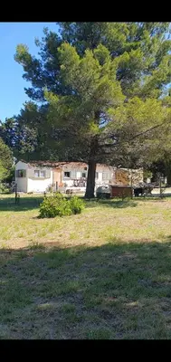 a large tree in a field next to a house at Chalet en provence